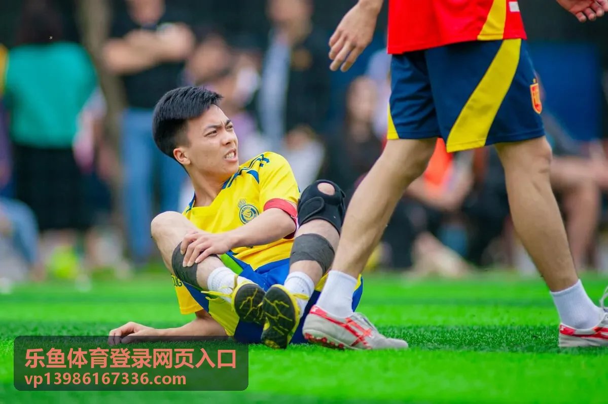 乐鱼体育登录网页入口网页端登录界面示意图
