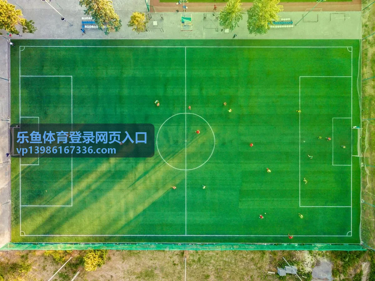 乐鱼体育登录网页入口登录问题排查示意图