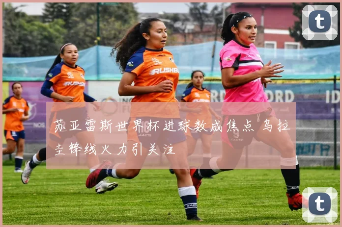 苏亚雷斯世界杯进球数成焦点 乌拉圭锋线火力引关注
