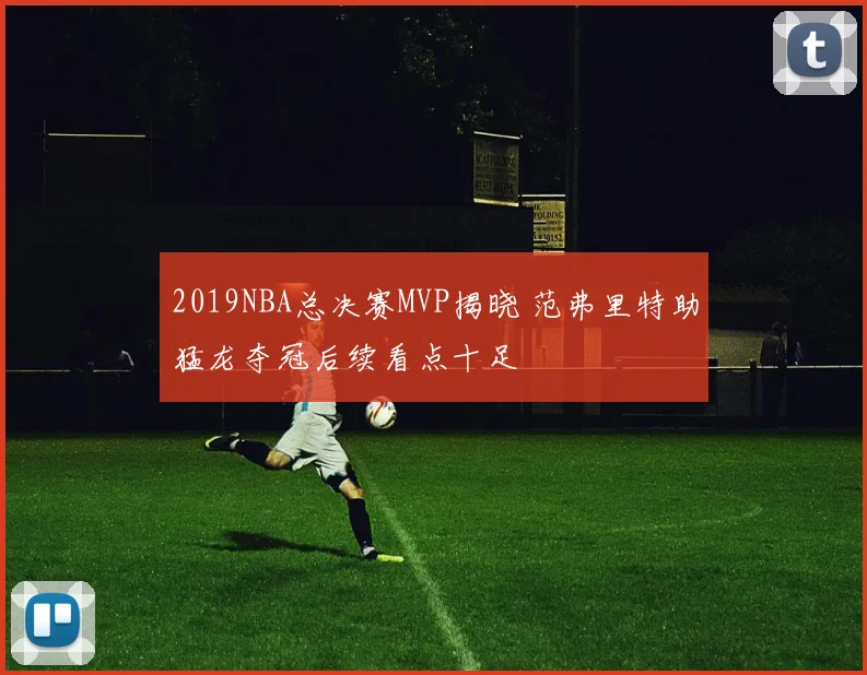 2019NBA总决赛MVP揭晓 范弗里特助猛龙夺冠后续看点十足