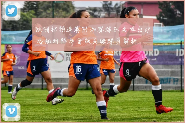 欧洲杯预选赛附加赛球队名单出炉 各组对阵与晋级关键球员解析
