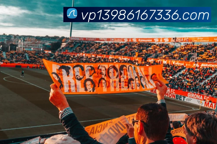 星空app官方登录入口平台生态图